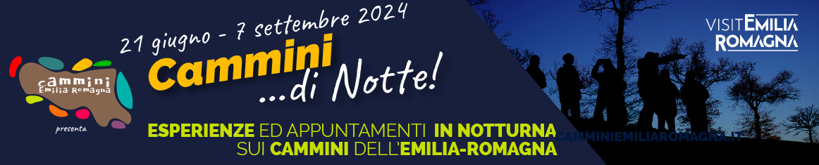 CAMMINI DI NOTTE - 21 GIUGNO - 8 SETTEMBRE 2024