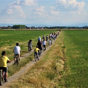 PARTECIBIKE. Un tour in bicicletta a tappe con visite guidate storico-naturalistiche nella Partecipanza Agraria di Nonantola.