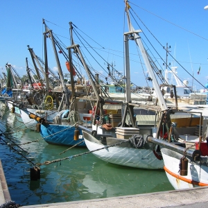 The fishing fleet of Cattolica – Lectures Active laboratory
