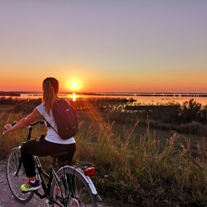 La pedalata dei fenicotteri al tramonto