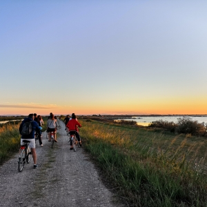 La pedalata dei fenicotteri al tramonto