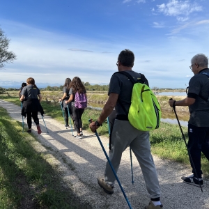 Nordic Walking alla Salina di Cervia