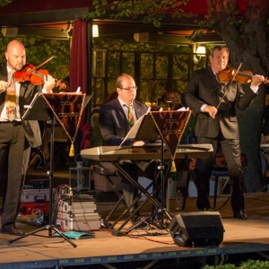 Concerti al Castello – Festival musicale di Montegridolfo – V edizione