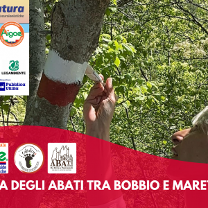 Sulla Via degli Abati tra Mareto e Groppallo