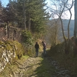 Via di Linari – Camminata tra Pievi e Maestà nella Valle dei Cavalieri