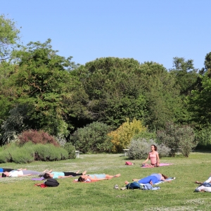 Yoga al tramonto al Parco Naturale di Cervia