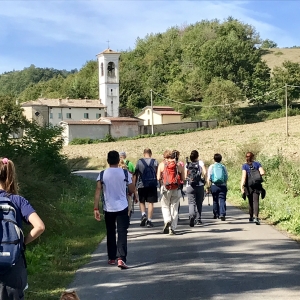 In cammino tra i paesaggi della Via Matildica del Volto Santo - Da San Donnino al Castello delle Carpinete con il Club per l'UNESCO di Carpineti